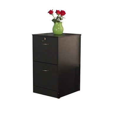  Wilson 2 Drawer Filing Cabinet - Buylateral